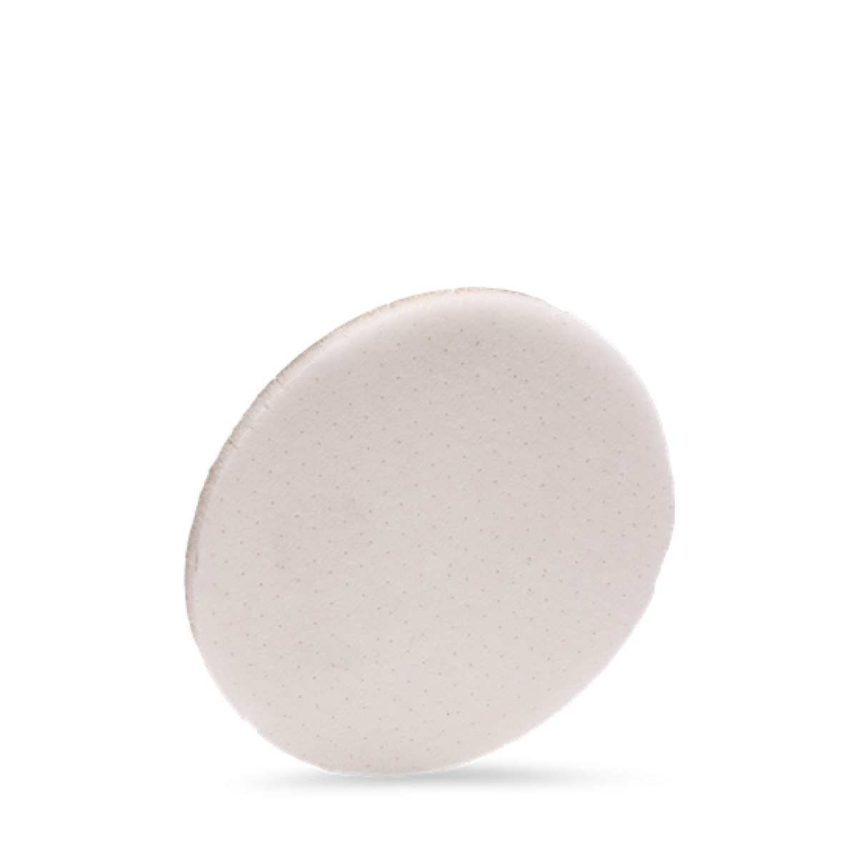 3180 FINE FOAM DISC